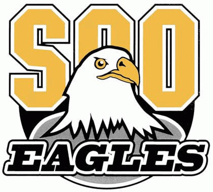 soo eagles 2012 13-pres primary logo iron on transfers for clothing